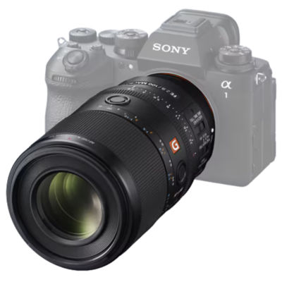 Sony FE 100mm F2.8 Macro GM OSS 5