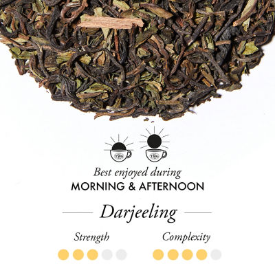 TWG Tea | Darjeeling Iced Teabag 3