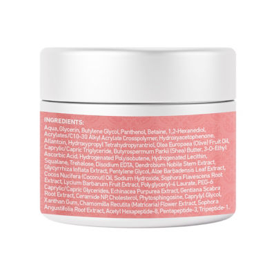 Nano Singapore Panthenol Lip Sleeping Mask (30g) 3