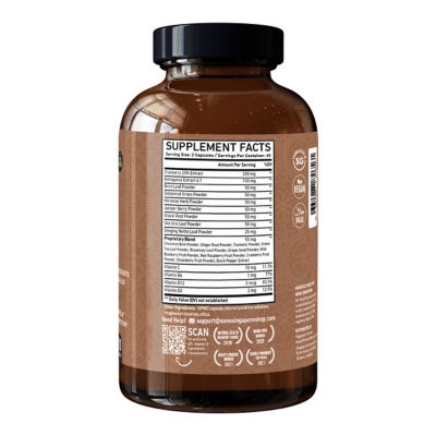 Nano Singapore Kidney Cleanse Formula (120 Capsules) 3