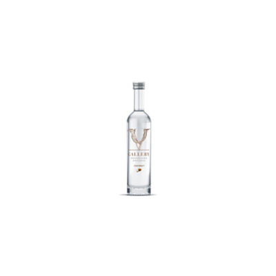 V Gallery Premium Mini Gift Set B | 4 x 50ml (Coffee, Grape, Coconut, Very Berry) 4