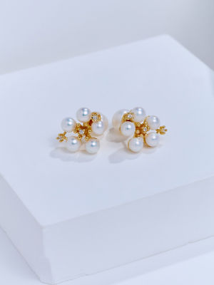Pearly Lustre Top Grade Freshwater Pearl Earrings WE01062 | GARDENS 2