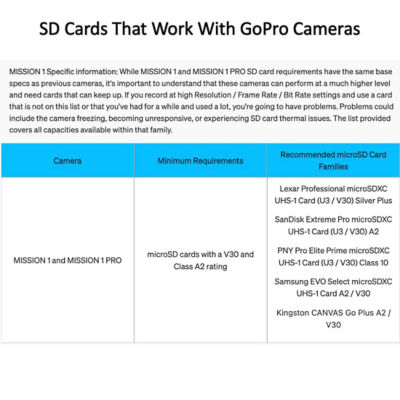GoPro MISSION 1 9