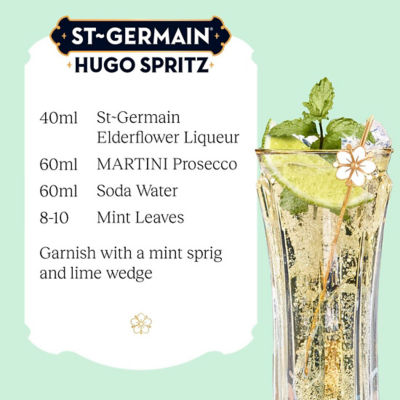 ST GERMAIN ELDERFLOWER LIQUEUR 750ML 6