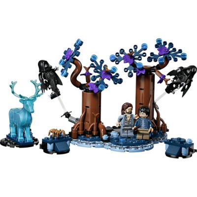 LEGO 乐高 76475 禁林：守护神咒 3
