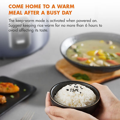 GAABOR RICE COOKER 2.2L BLUE RC50M-BE01A 7