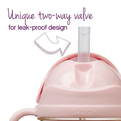 B.Box PPSU Sippy Cup 8oz 12