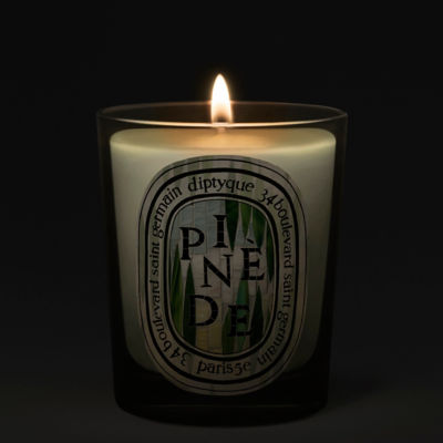 DIPTYQUE Classic Candle Pinède - Limited Edition 3