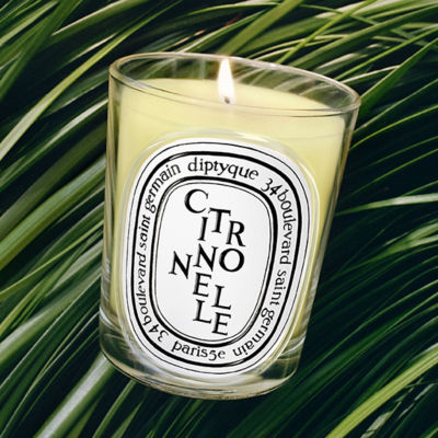 DIPTYQUE Classic Candle Citronnelle 3