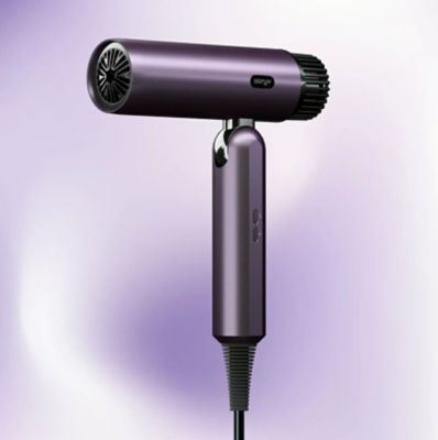 Stryv ProTraveller 2.0 Hair Dryer 9