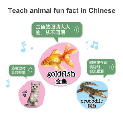 LeapFrog 100 Animals Book - Bilingual English and Chinese | 动物英语100词（中英双语） 7