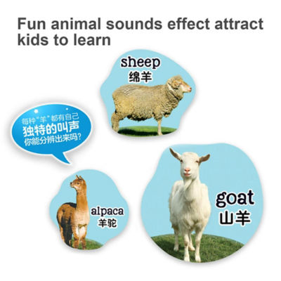 LeapFrog 100 Animals Book - Bilingual English and Chinese | 动物英语100词（中英双语） 9