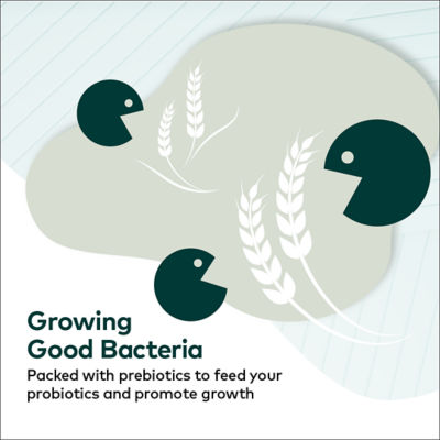 Comvita Probiotic Boost Duo Bundle 6
