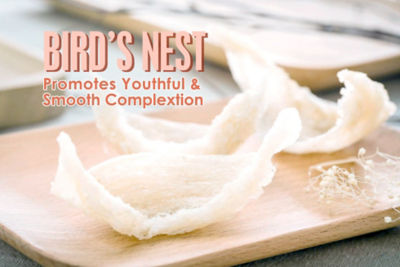 KINOHIMITSU [Bundle of 3] Kinohimitsu Bird Nest Chrysanthemun 6's 5