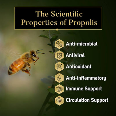 MANUKA SOUTH [Bundle of 2] Manuka South Manuka Propolis Extract 25ml 4