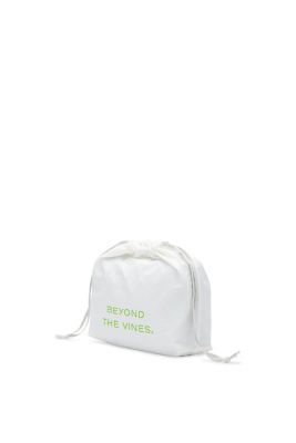 Beyond The Vines Metallic Poofy Bag 11