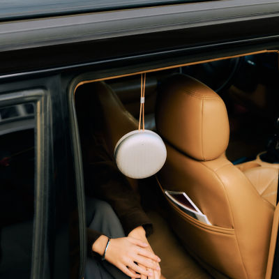 B&O Beosound A1 3rd Gen 9