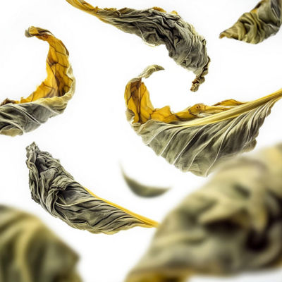 RITUALS 皇家清茶车载香氛 3