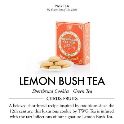 TWG Tea | Iced Teabag Duo Set B 6