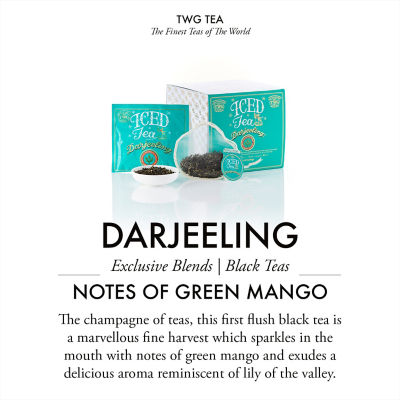 TWG Tea | Iced Teabag Duo Set C 4