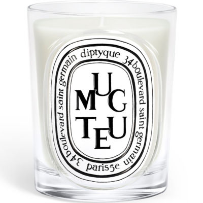 DIPTYQUE White Candle Muguet 1