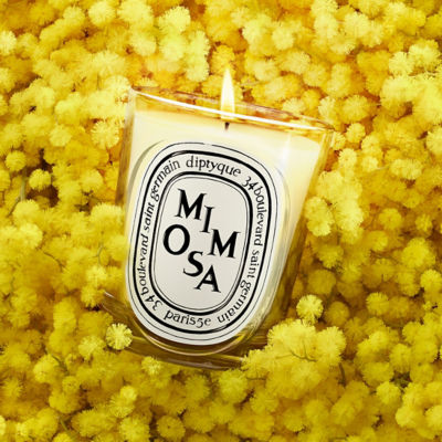 DIPTYQUE White Candle Mimosa 4