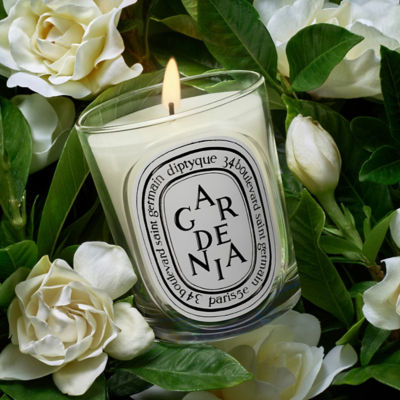 DIPTYQUE White Candle gardénia 4