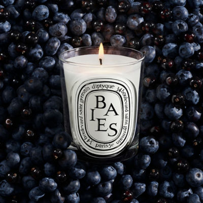 DIPTYQUE White Candle Baies 4
