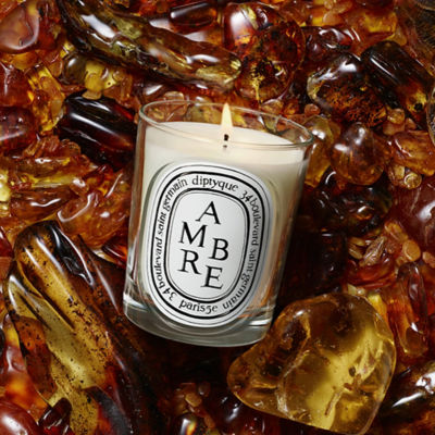 DIPTYQUE White Candle Ambre 4