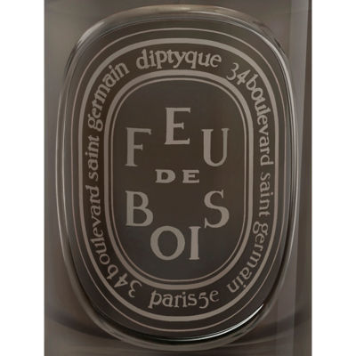DIPTYQUE Grey Candle Feu De Bois 3
