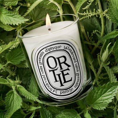 DIPTYQUE Classic Candle Ortie 4