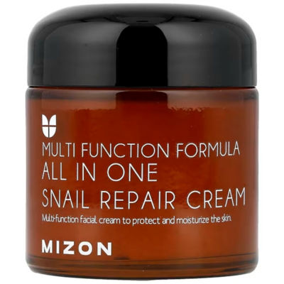 Mizon All In One Snail Repair Cream 75ML 1