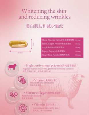 SINGCHOICE Lamb Placenta Extract 6