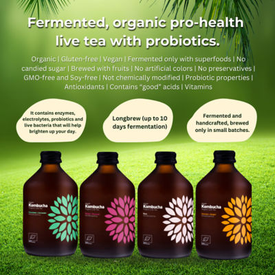 VIGO KOMBUCHA BIO ACEROLA+GINGER 330ML 4