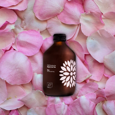 VIGO KOMBUCHA BIO ROSE 330ML 3