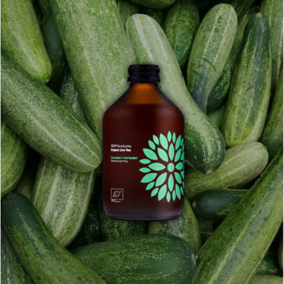 VIGO KOMBUCHA BIO CUCUMBER+CORIANDER 330ML 3