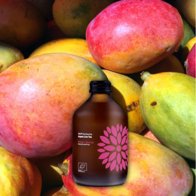 VIGO KOMBUCHA BIO MANGO + MARACUJA 330ML 3