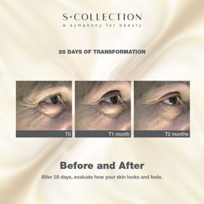 S. Collection S.COLLECTION 多肽安瓶 3ml x 12 6