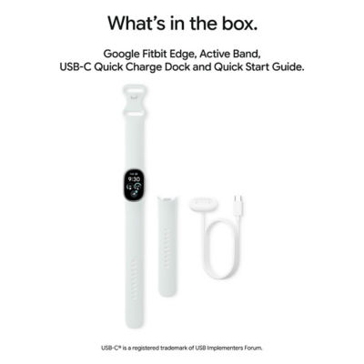 Google Fitbit [PRE-ORDER] Google Fitbit Edge Fitness Tracker 15